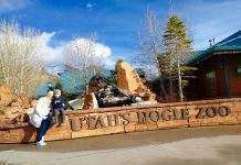 Звідки під машиною плями?