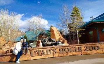 Звідки під машиною плями?