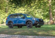 Офіційно уявлень новий subaru forester wilderness (фото)