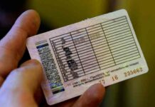Водійські права в україні видають за новою схемою: як тепер отримати посвідчення