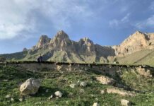 Кавказ склеротика