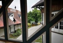 Подорожі → break europe 2021 частина 2