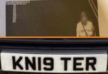 Дорожня камера виписала штраф, переплутавши номерний знак авто з ліпленням на одягу (фото)