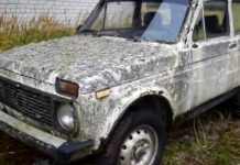 Відео: 27-річну “ниву” зуміли завести після десятирічного простою під відкритим небом