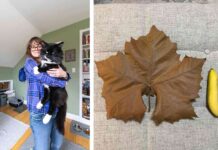 25 аж ніяк не маленьких речей, людей і тварин, які здивували нас своїми розмірами