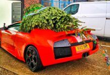 Відео: невдала репліка lamborghini доставляє різдвяну ялину в фотостудію