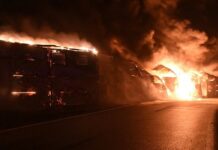 Чому skoda octavia в найближчі місяці купити не вийде